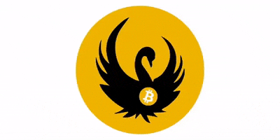 swanbitcoin crypto bitcoin ethereum finance GIF