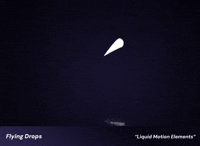 Animation Flying GIF by youmotion.com