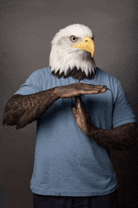 Eagle GIF