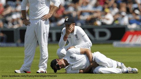 albinwira giphyupload sport meme memes GIF