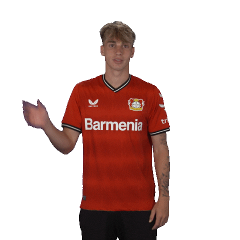 See You Goodbye Sticker by Bayer 04 Leverkusen
