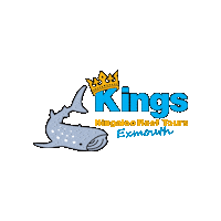 KingsNingaloo kings whaleshark exmouth ningaloo Sticker