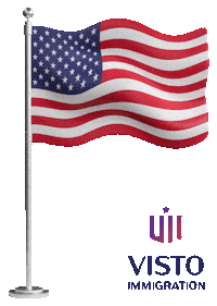 Green Card Visa Sticker by Visto Immigration