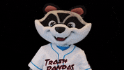 Raccoon Sprocket GIF by Rocket City Trash Pandas