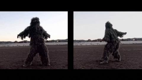 HokieRif giphygifmaker exum GIF