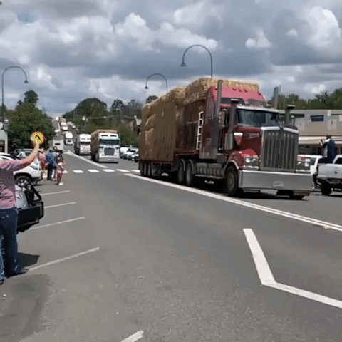 Locals Dance and Cheer as Drought-Aid Convoy Rolls Through Uralla, Headed for Desperate Farmers