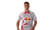 Willi Orban Football Sticker by RB Leipzig