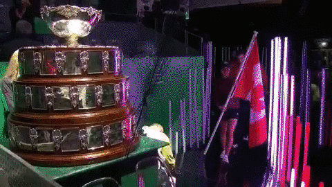 Davis Cup Canada GIF by Davis Cup by Rakuten Finals