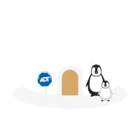 Coffee Drink Sticker by ADT Security