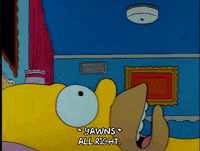 Season 1 Episode 13 GIF by The Simpsons
