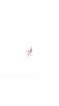 Animation Wipe Sticker by youmotion.com