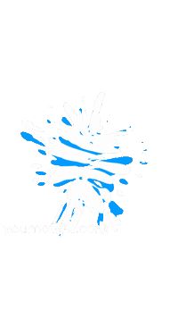Animation Wipe Sticker by youmotion.com