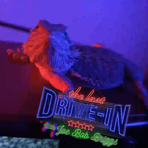 Mbss giphyupload girl sign drive GIF