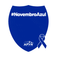 Van Protecao Veicular Sticker by APVS Truck