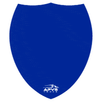 Van Protecao Veicular Sticker by APVS Truck
