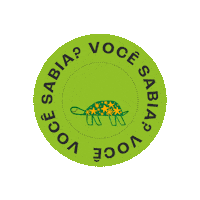 Voce Sabia Besouro Sticker by afabula
