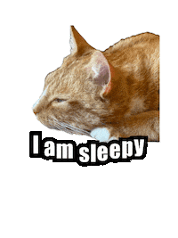 Tired Good Night Sticker by Global Tara Entertainment