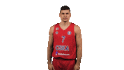 Football Basketball Sticker by CSKA Moscow
