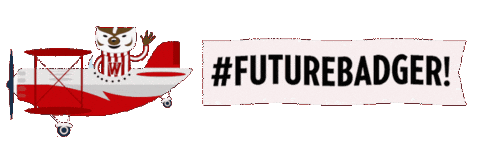 University Of Wisconsin College Sticker by uwadmissions