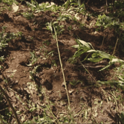 Game Over GIF by FIA World Rally Championship