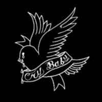 Lil Peep Crybaby GIF