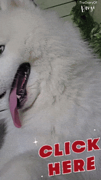 Clique Click GIF
