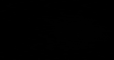 Key West GIF by green parrot