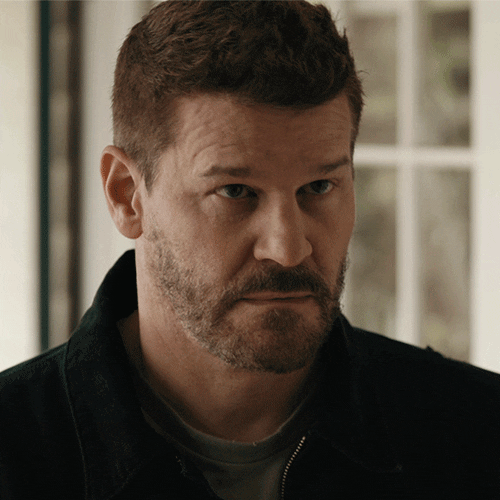 Sealteam Davidboreanaz GIF by Paramount+