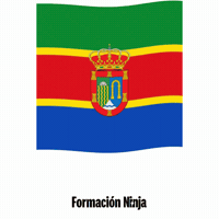Castilla Y Leon Flag GIF by Formación Ninja