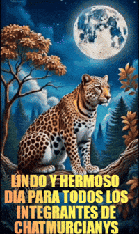 Happy Feliz GIF by Murcianys LLC