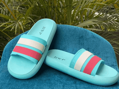 cesarsacris giphyupload GIF