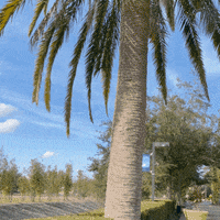 Fullsail Fsnation GIF by Full Sail University