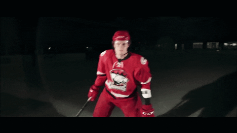 brendan woods fight GIF by Charlotte Checkers