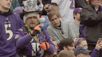 Happy National Football League GIF by Baltimore Ravens