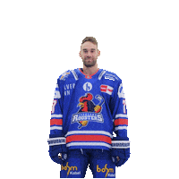 Sport Win Sticker by Iserlohn Roosters
