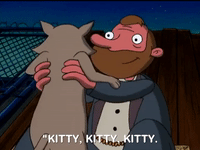 hey arnold nicksplat GIF