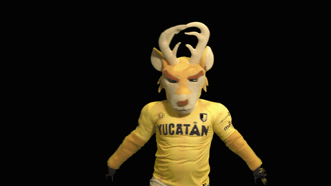 GIF by Venados FC