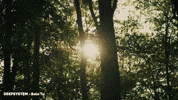 Sun Love GIF by DEEPSYSTEM