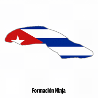 Flag Bandera GIF by Formación Ninja