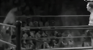 jerry lewis boxing GIF