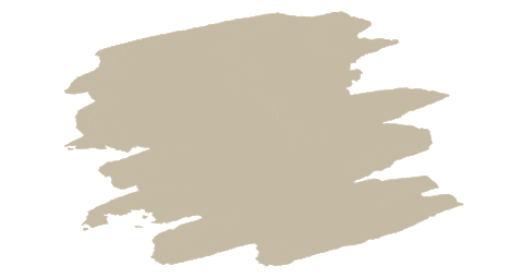 sustainability seed Sticker by seedandsproutco