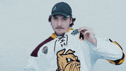 ncaasports hockey college ncaa ice GIF