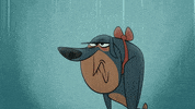 Dog Raining GIF by Taffy