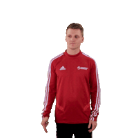 Loser Denmark Sticker by Team Danmark