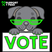 Voting United States GIF by SUPPORT + FEED