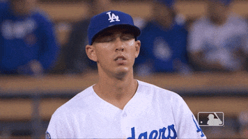 Los Angeles Dodgers No GIF by MLB