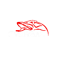 Big Fish Angeln Sticker by EVERBAIT