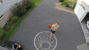 Sport Fail GIF by FN Films