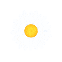 taratatan summer flower flowers spring Sticker