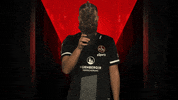 Happy Christmas Tree GIF by Bundesliga